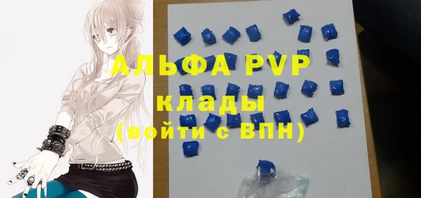 ГАЛЛЮЦИНОГЕННЫЕ ГРИБЫ Белокуриха